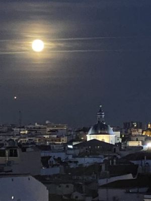 El Baile de la Luna Azul: Un Encuentro Musical Inolvidable con Zolani Mahola en Madrid!